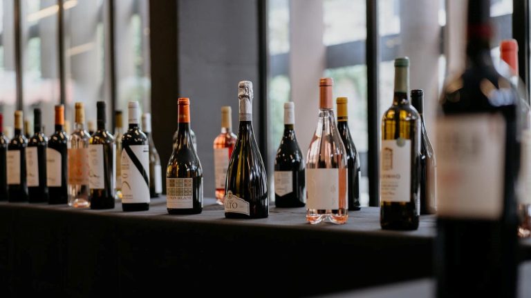 Beira Interior estima 15 por cento de aumento na produção de vinhos