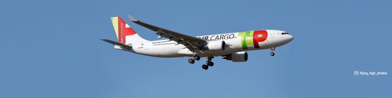 “Existe elevado potencial de crescimento, sobretudo em mercados onde os consumidores valorizam cada vez mais produtos autênticos”